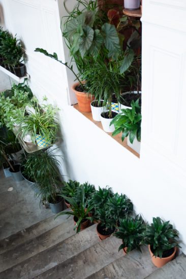 20 Indoor Garden on the Staircase Ideas | Balcony Garden Web