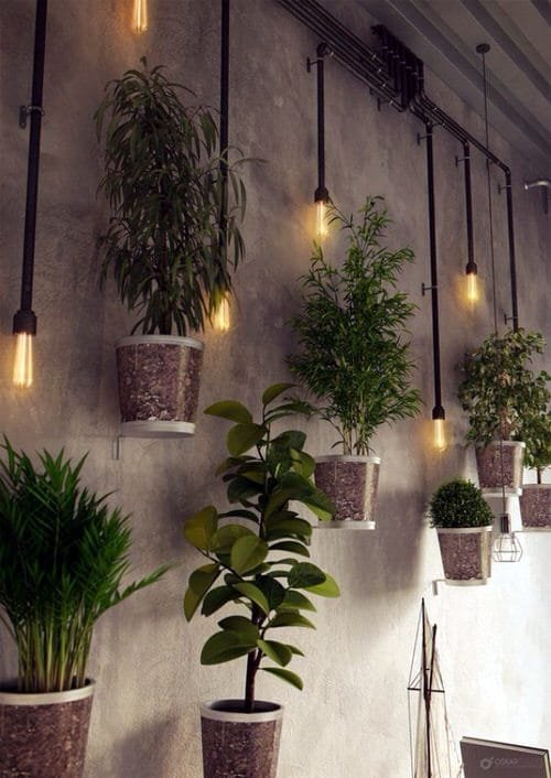 Wall Hanging Plant Decor Ideas 8