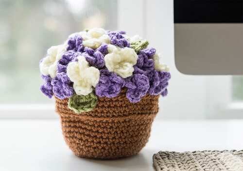  Crochet Flower Pot near window