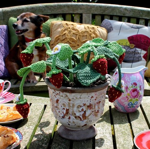 DIY Strawberry Plant Crochet on table