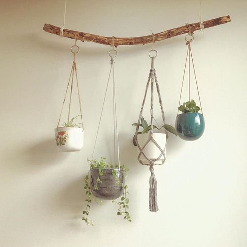 Wall Hanging Plant Decor Ideas 3