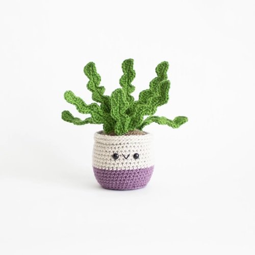 Fishbone Cactus Crochet DIY potted plant