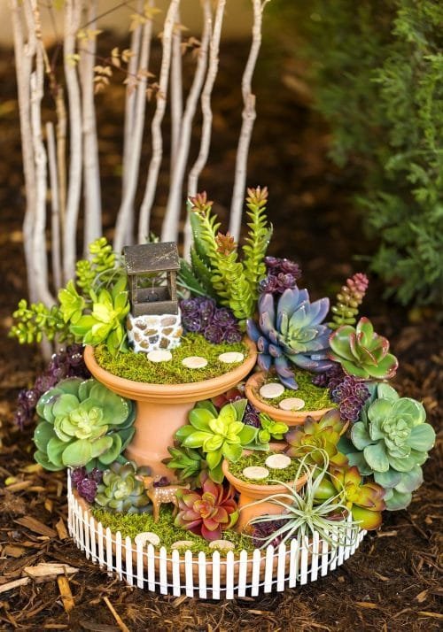 Succulent Porch Garden Ideas