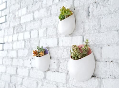 Wall Hanging Plant Decor Ideas 7