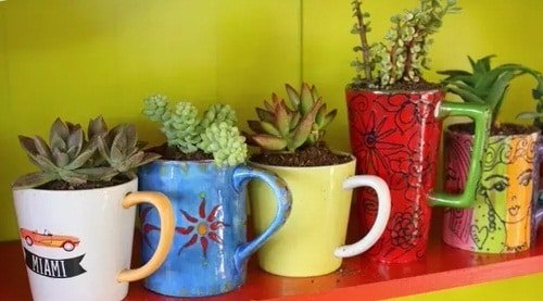 Coffee Mug Planter Ideas