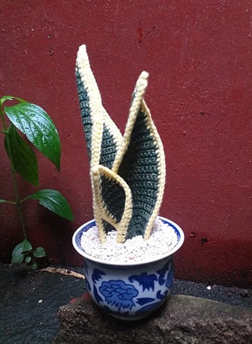 Snake Plant Crochet DIY plant