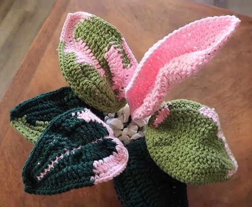 Pink Princess Philo Crochet Plant 