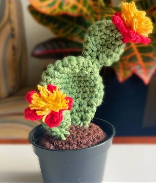 Bunny Ear Cactus Crochet plant