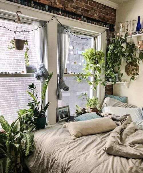 Indoor Plants Bedroom Window Garden Ideas 2