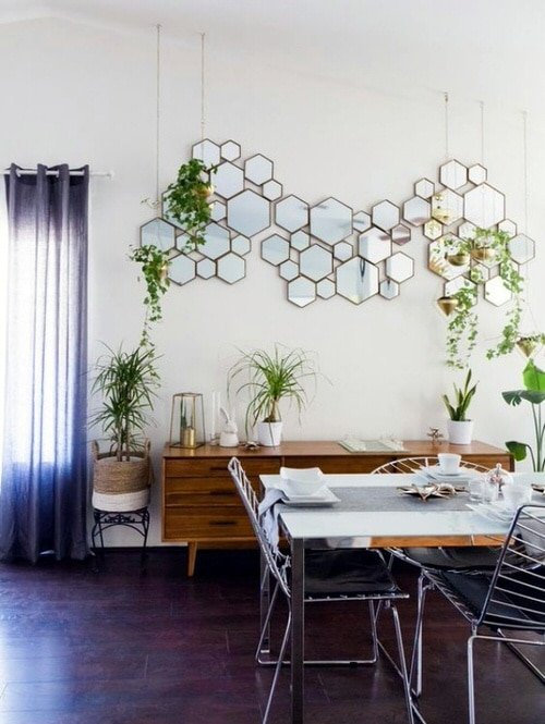 Wall Hanging Plant Decor Ideas 2