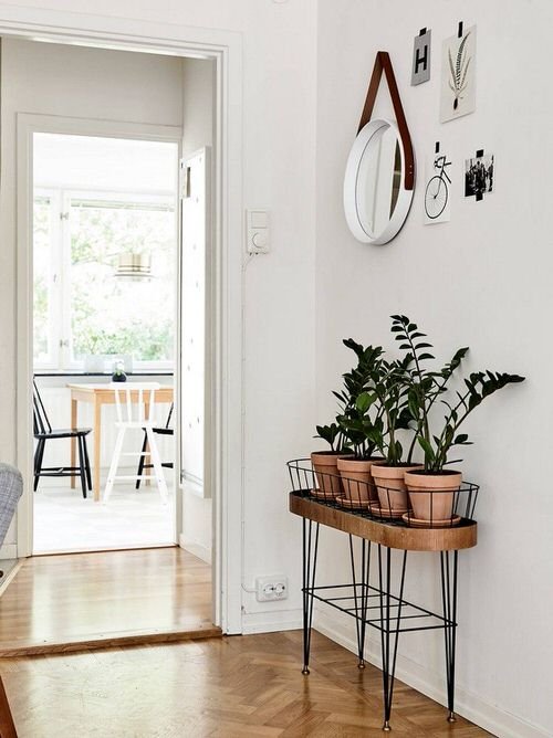 Hallway Decor Ideas with Plants 3