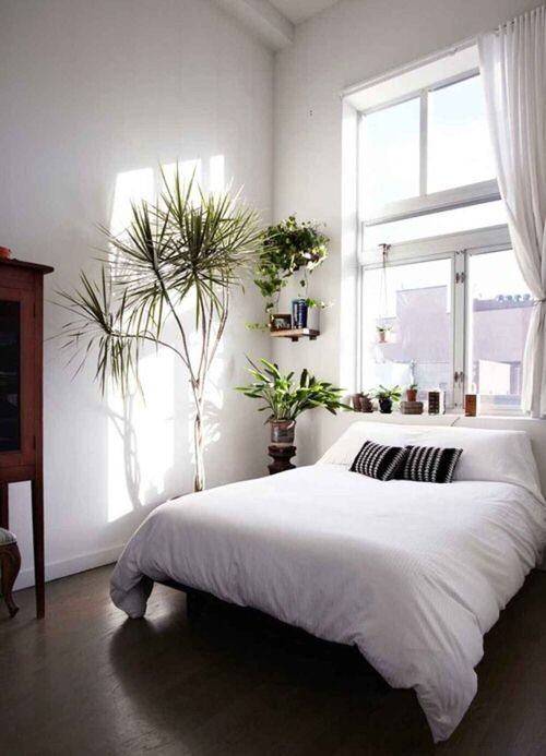 Indoor Plants Bedroom Window Garden Ideas 3