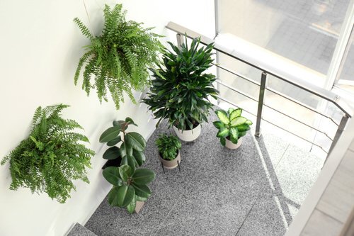 Indoor Garden on the Staircase 26