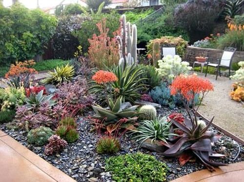 Succulent Porch Garden Ideas 4