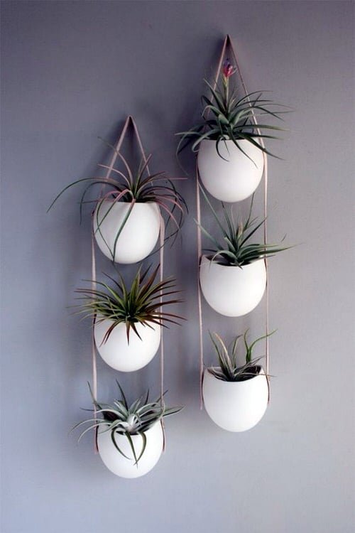 Wall Hanging Plant Decor Ideas 4