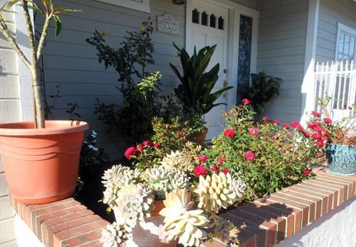 Succulent Porch Garden Ideas 5