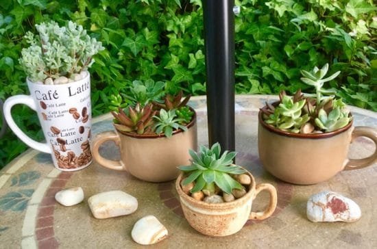 DIY Coffee Mug Ideas for the Garden 12