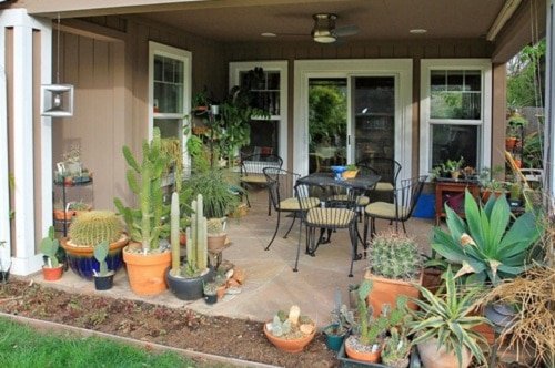 Succulent Porch Garden Ideas 11