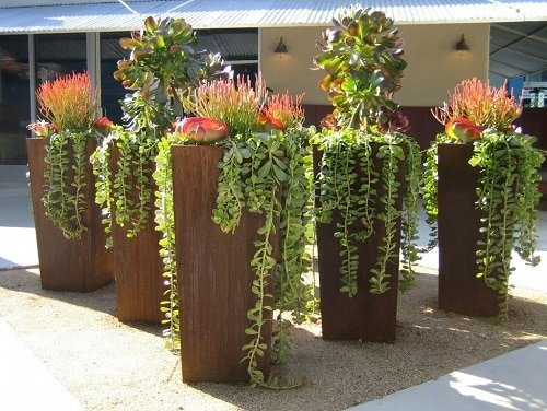 Succulent Porch Garden Ideas 12