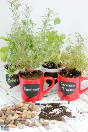 22 Adorable DIY Coffee Mug Planter Ideas | Balcony Garden Web