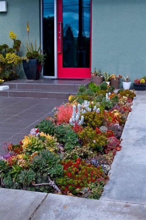 Succulent Porch Garden Ideas 8