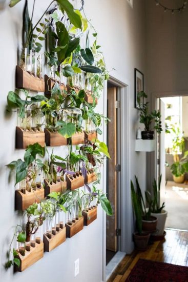 20 Hallway Decor Ideas with Plants | Balcony Garden Web