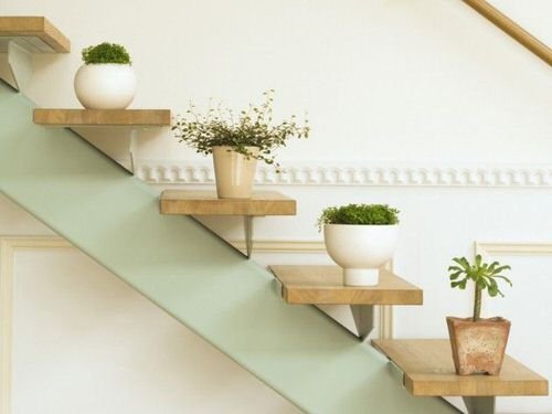 Indoor Garden on the Staircase 28