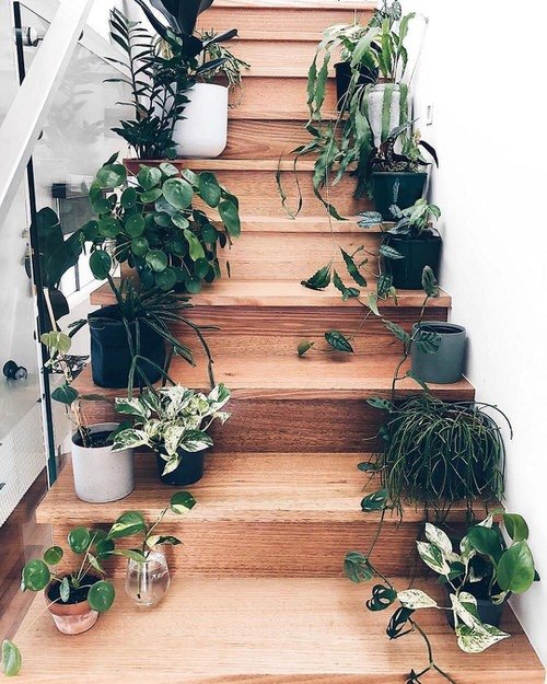 Indoor Garden on the Staircase 3