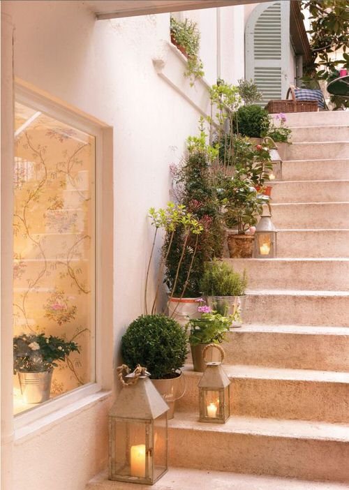 Indoor Garden on the Staircase 2