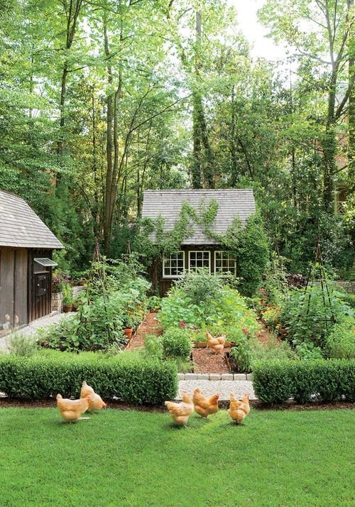 Beautiful Dreamiest Garden on Pinterest 6