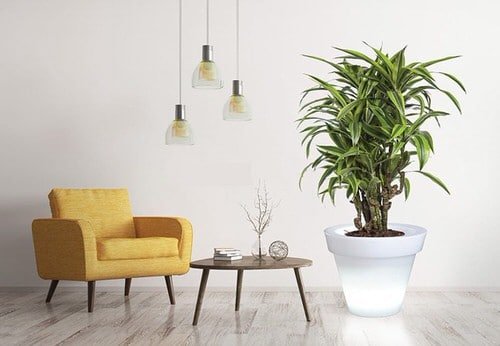 DIY Indoor Illuminated Planter Ideas 6