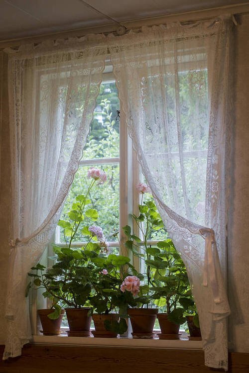  Windowsill Decor Ideas with Plants 6