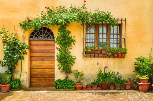 Porch Decor Idea with Plants 6