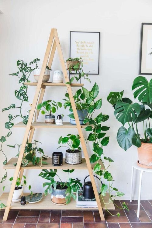  Indoor Ladder Planter Ideas 7
