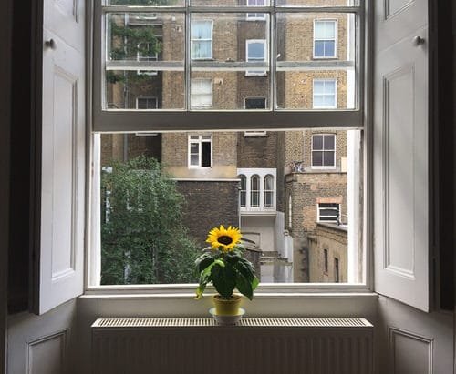 Beautiful Windowsill Flower Ideas 4