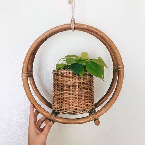 Indoor Plants That Look Better in Baskets 3