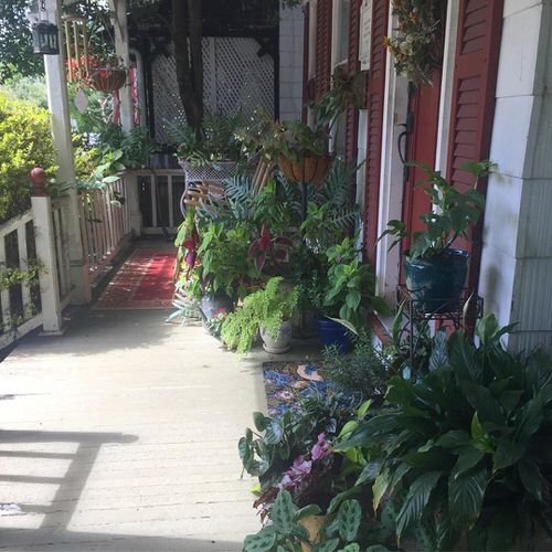 Porch Decor Idea with Plants 7
