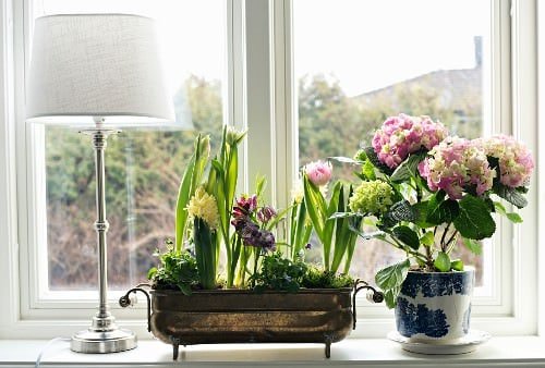 Beautiful Windowsill Flower Ideas 5