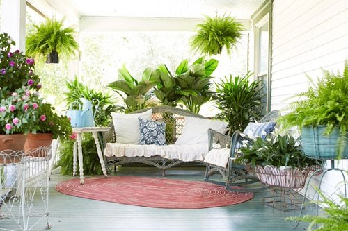 Porch Decor Idea with Plants