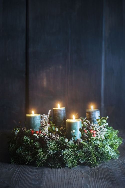 Christmas Decor Ideas with Plants