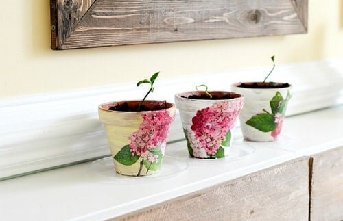 DIY Houseplant Pots Ideas and Makeover