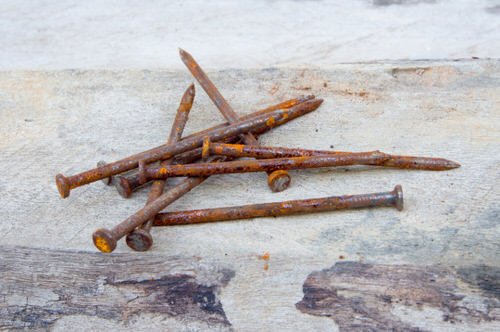 How Rusty Nails Can Save your Dying Plants