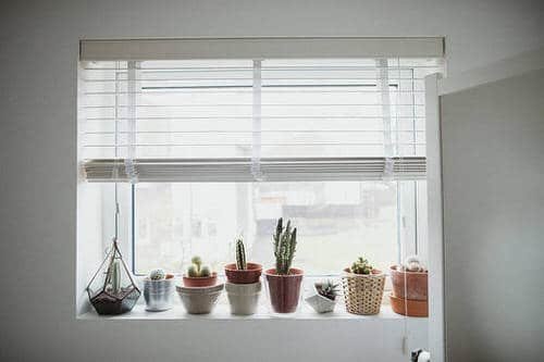  Windowsill Decor Ideas with Plants