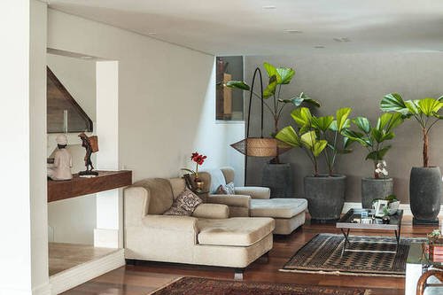 Apartment Decoration Ideas with Plants