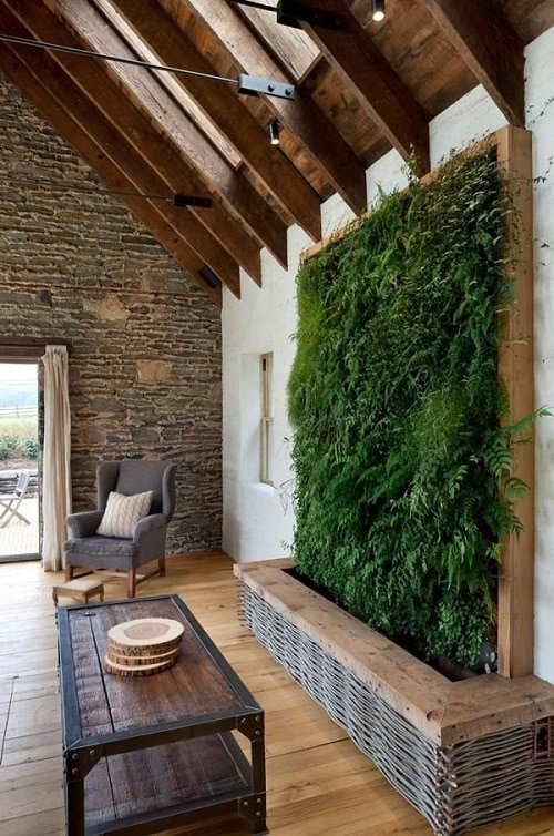 Best Plants for a Vertical Wall