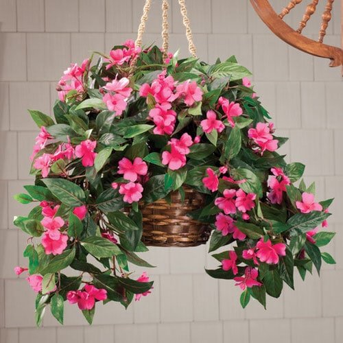 Indoor Plants that Look Better in Baskets 11