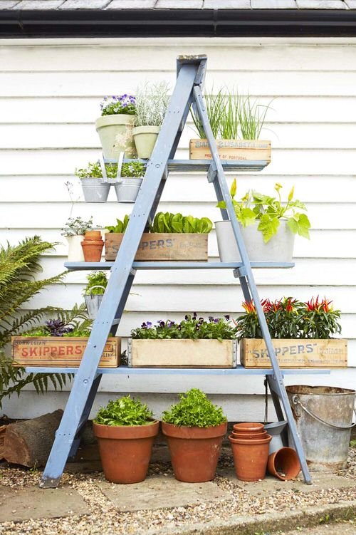 Porch Decor Idea with Plants 12