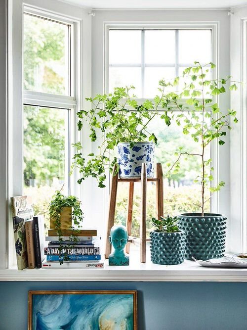  Windowsill Decor Ideas with Plants 14