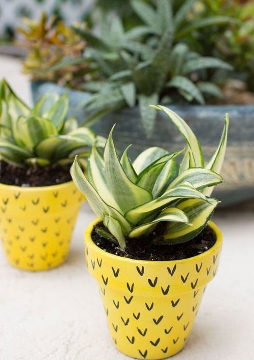 DIY Houseplant Pots Ideas and Makeover 15