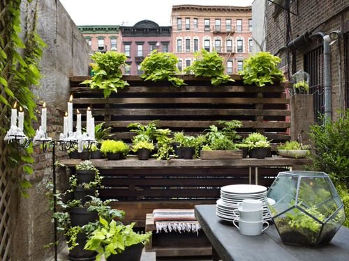  A Tiny Urban Garden in city